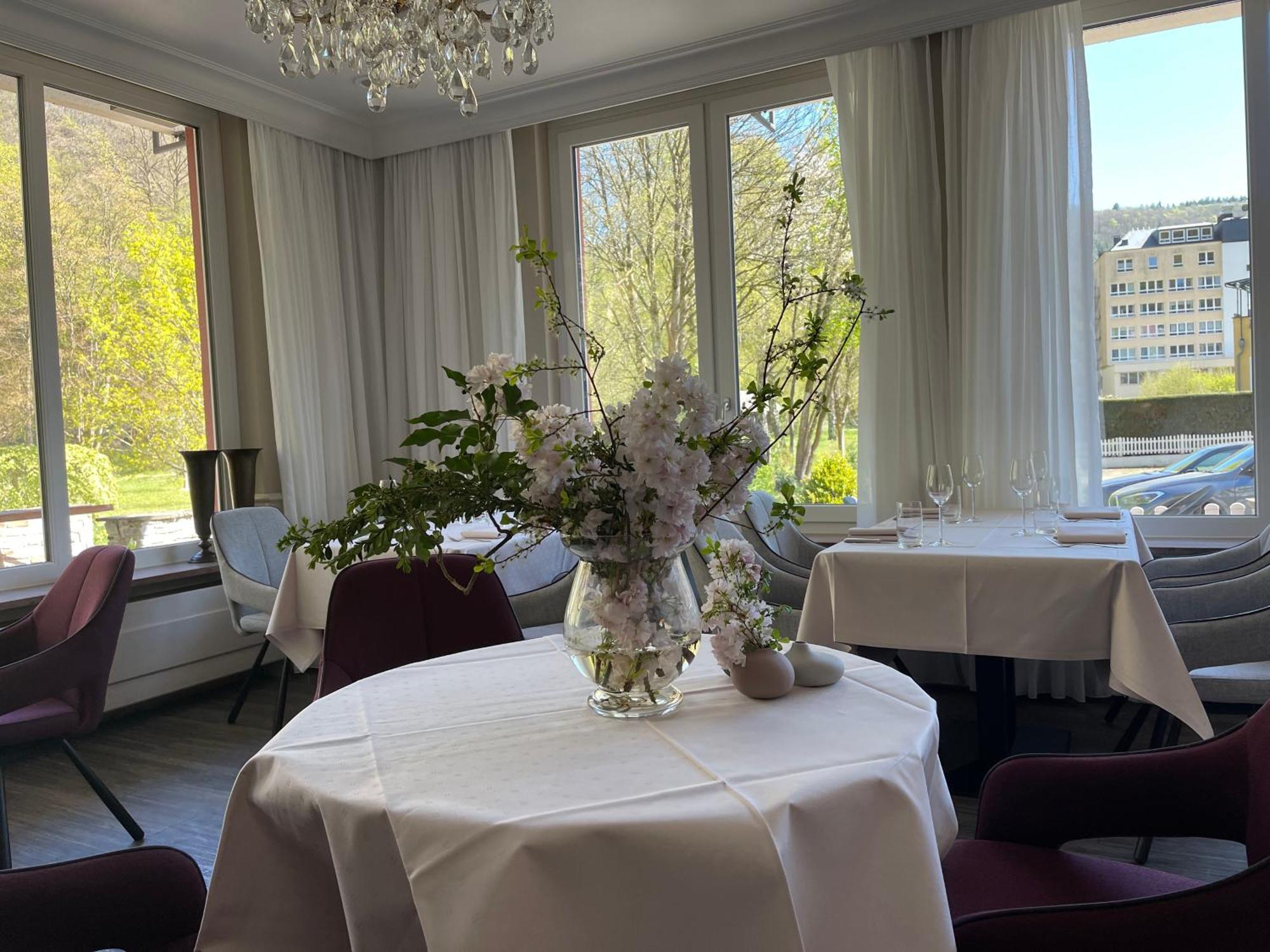 Hotel Alte Muehle Bad Bertrich Eksteriør billede