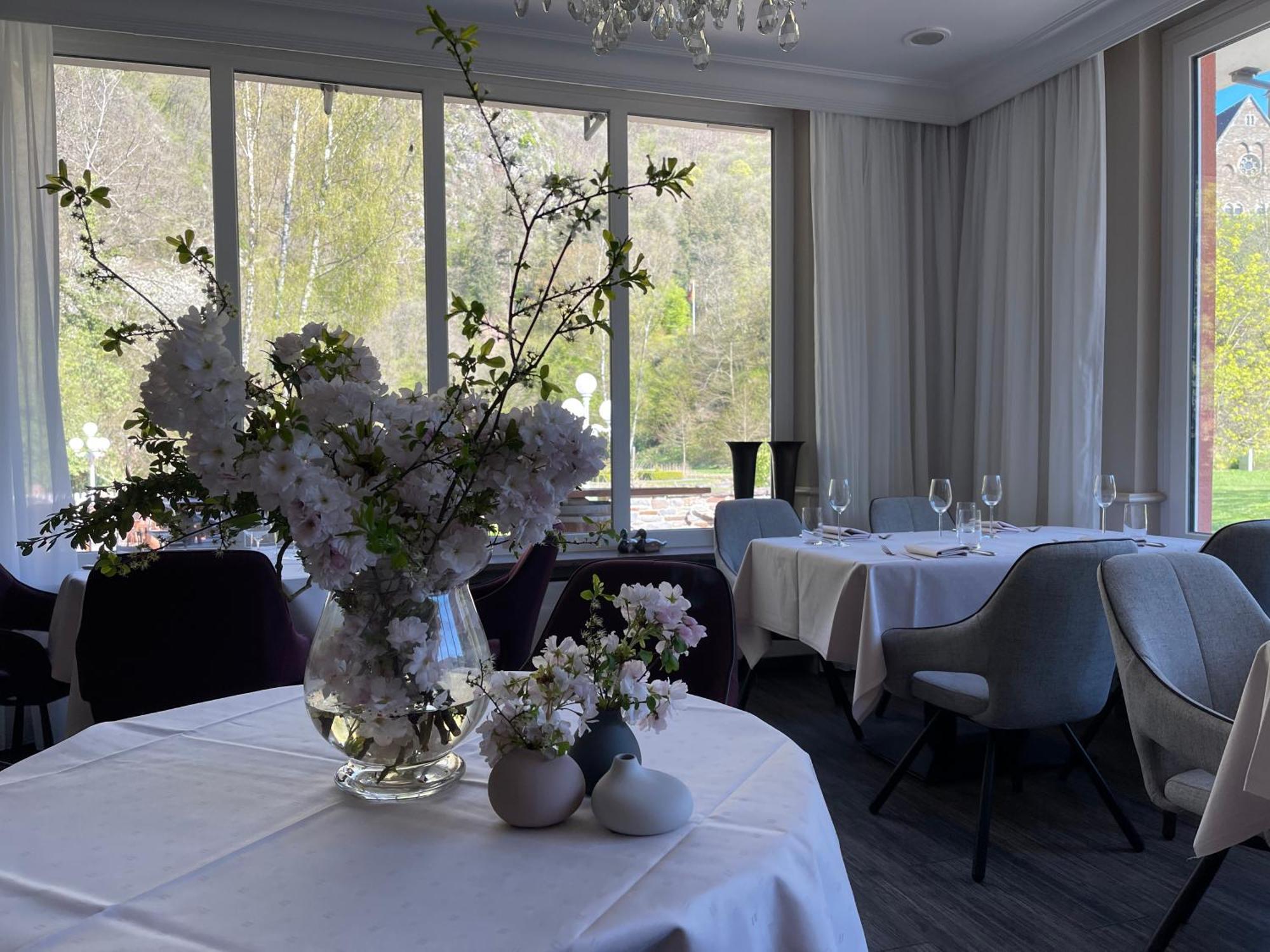 Hotel Alte Muehle Bad Bertrich Eksteriør billede